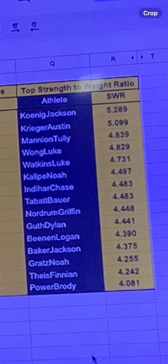 Tully Mannion tweet media