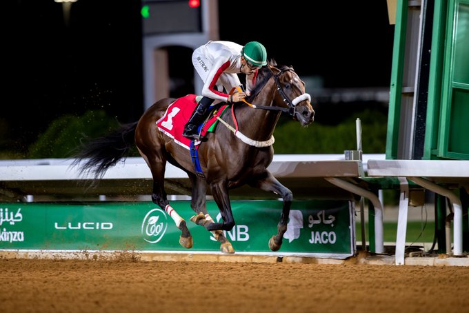 على #مضمار_ميدان وفي الشوط الثاني - البستكية (لستد)
 Al Bastakiya (Listed Race) -
يشارك مساء اليوم الجمعة 21 فبراير 2025 الجواد فال خير FAAL KHAIR (USA) ابن تابيتشر Tapiture لابناء الملك عبدالله بن عبدالعزيز Stables of King Abdullah Sons
تحت تدريب : احمد محمود ( Ahmed Atieg احمد
