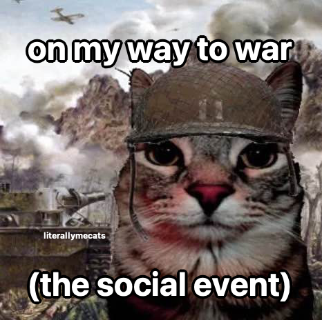 literallymecats's tweet photo. https://t.co/0NJS6wzWvo