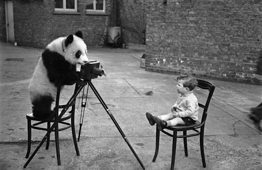 twistopherrobin's tweet photo. #Photography #Monochrome #BertHardy https://t.co/yMnRxM44fk