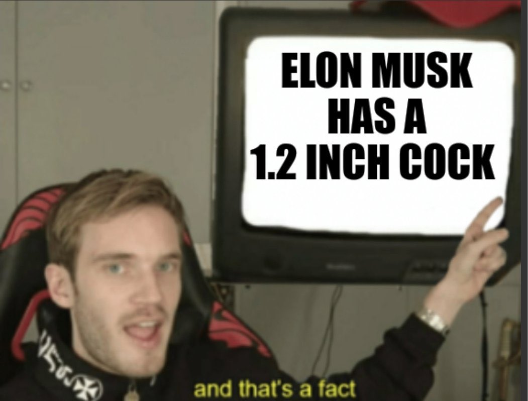 The Fluids tweet media