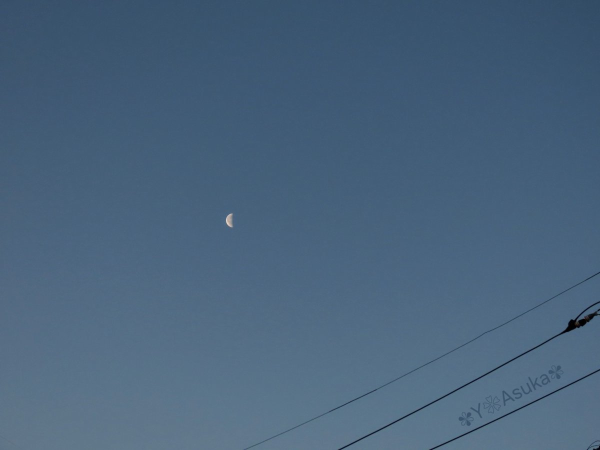 yumeasutw's tweet photo. キーンと冷えた日の出の頃🌄
南の空に佇む #有明月 (月齢22.4)
※2時33分がちょうど下弦です。
#月 #moon #朝空
#a2025 #a0221 #a202502 https://t.co/CYo0EwnH4Y