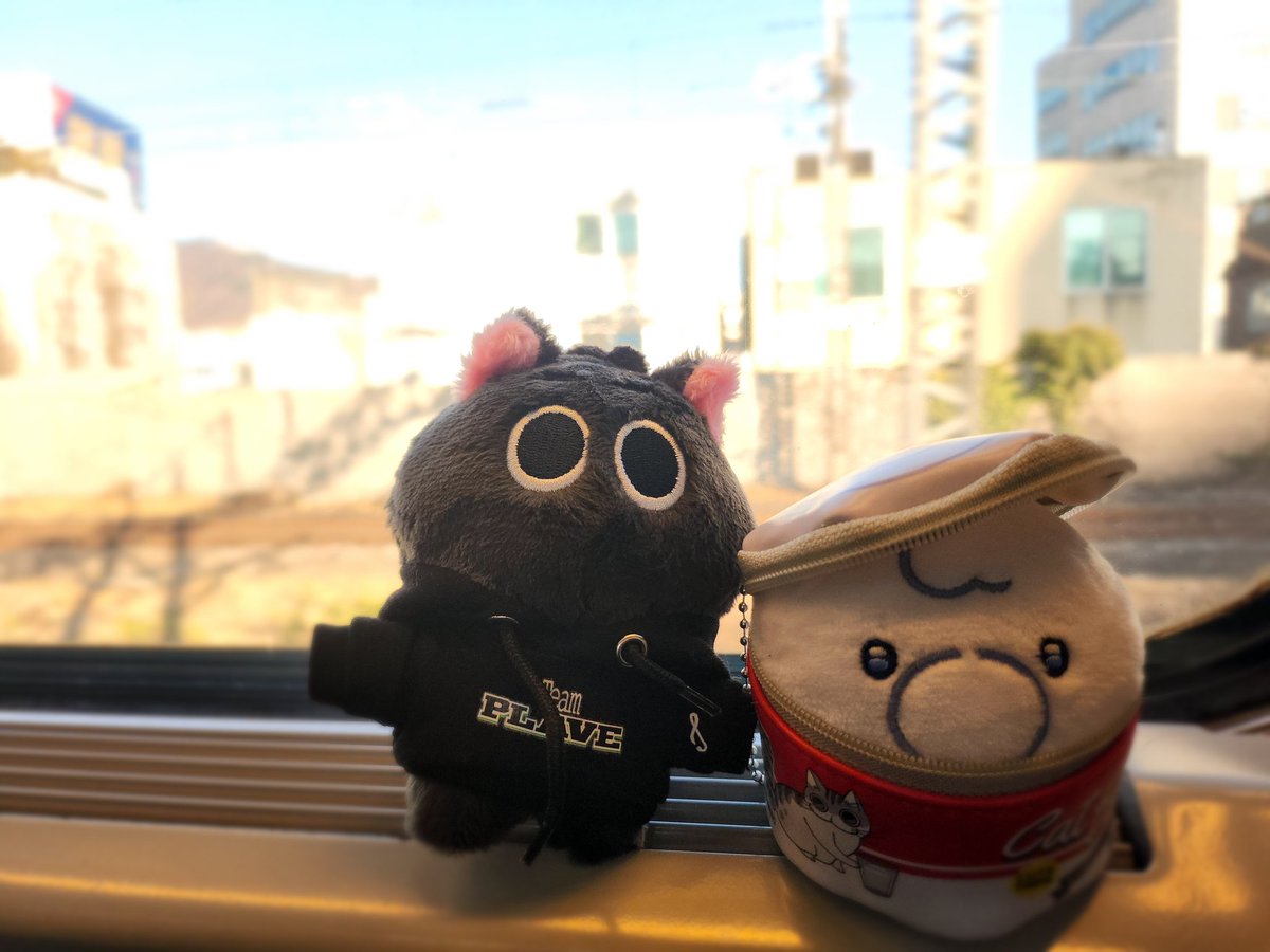 #꾸야_육지탐험 #깜새 #깜새하민 서울여행 마무리하고 귀가 잘했지요?☺️