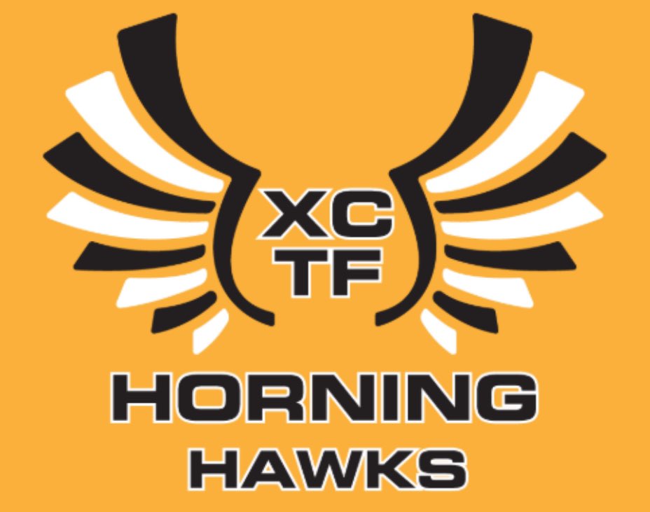 Horning Hawks CC and TF tweet media
