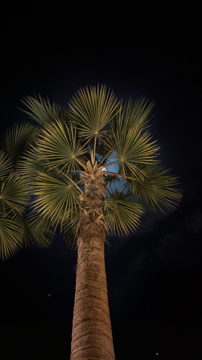 إن شحّت نجوم ليلك لا تحايلها
لا ترجي الليل نجمة والقمر باكر

تنتظرك أشياء كثيرة ما تخيّلها
عقب التعب مالك إلا طيبة الخاطر .