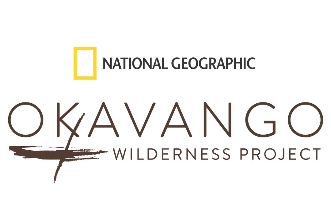symposium_bw's tweet photo. Vulture Diets in Botswana

@Fitztitute, @wildbirdtrust's @cranewattled from tracked vulture feeding behavior using GPS. By analyzing movement patterns of tagged vultures, he observed that vultures primarily feed on wild ungulates, with elephants being the most frequent prey. https://t.co/kfI0vrt8H7