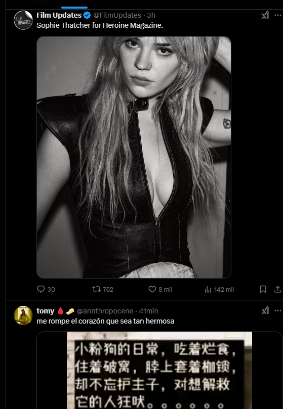 lu tweet media