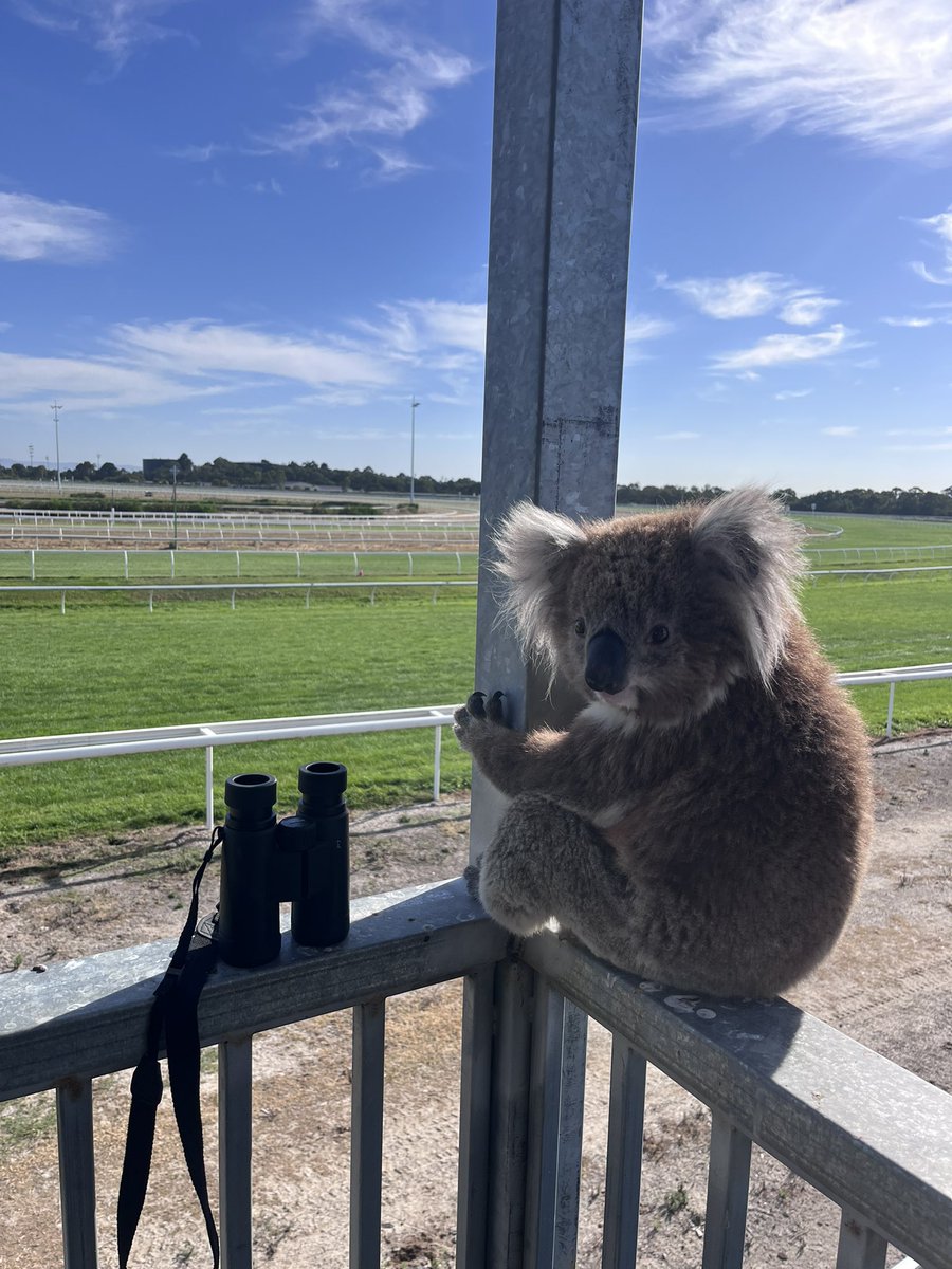 Lucy Yeomans tweet media