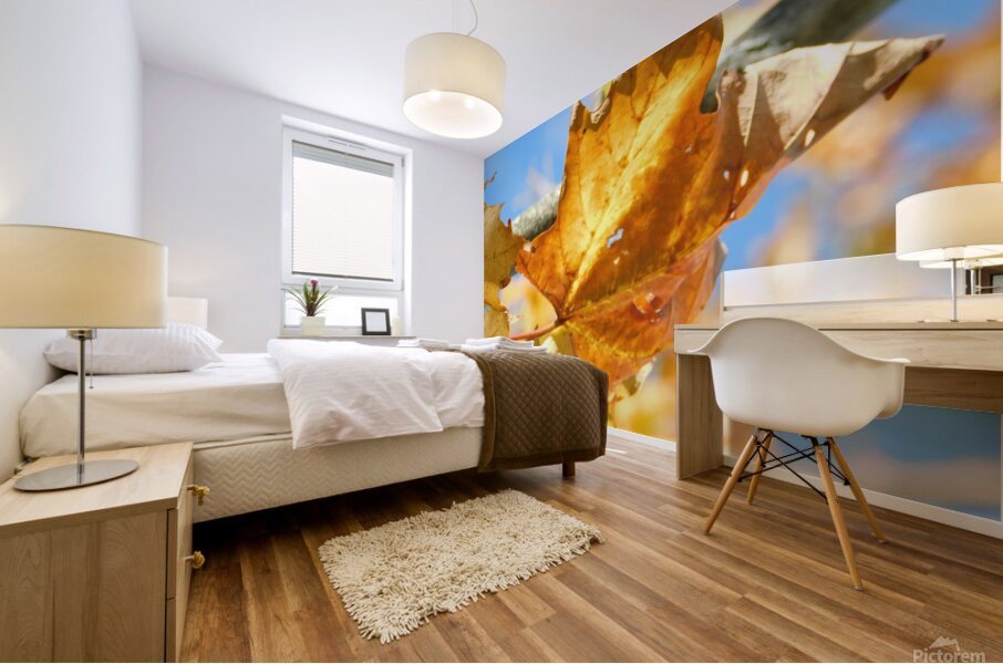 AtlasTracer's tweet image. Wall Art Print #pictorem #atlastracer
Golden Autumn by Atlas Tracer Wall Art