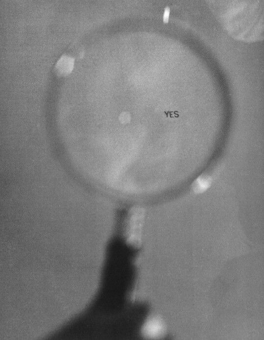 yokoono's tweet photo. CEILING PAINTING (YES PAINTING), 1966
Unfinished Paintings and Objects, Indica Gallery, November 1966 https://t.co/59C4swbhi8