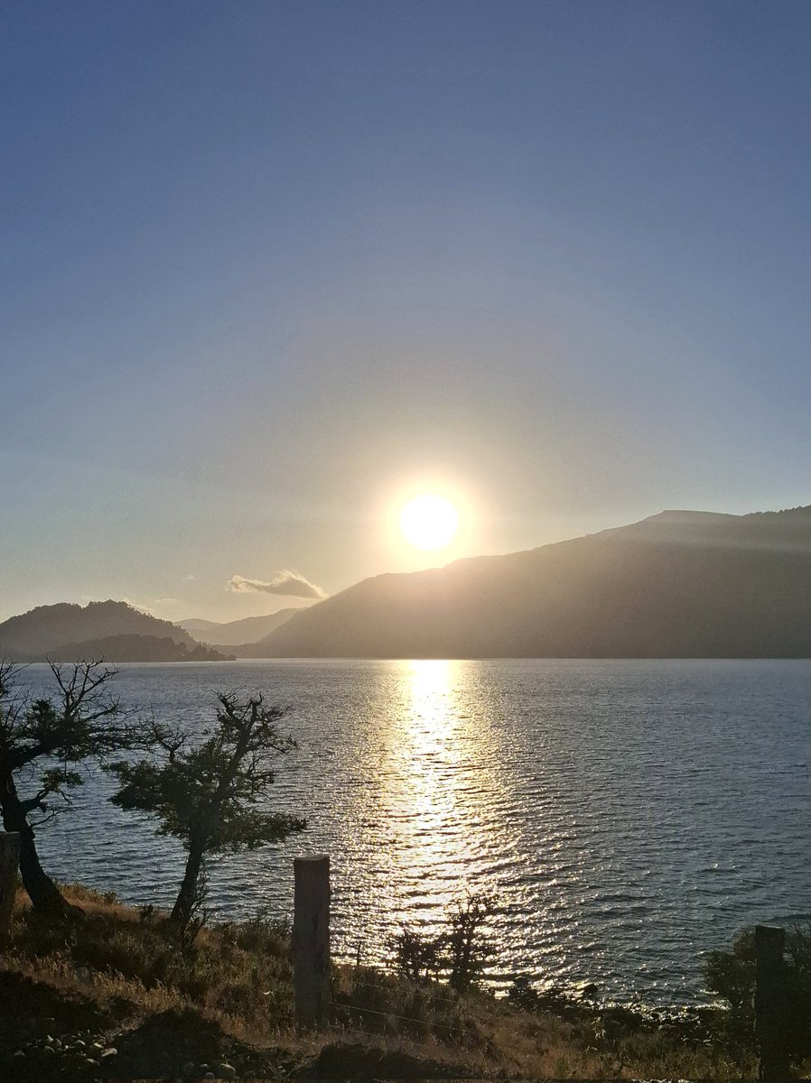 Pedro Cayuqueo tweet media