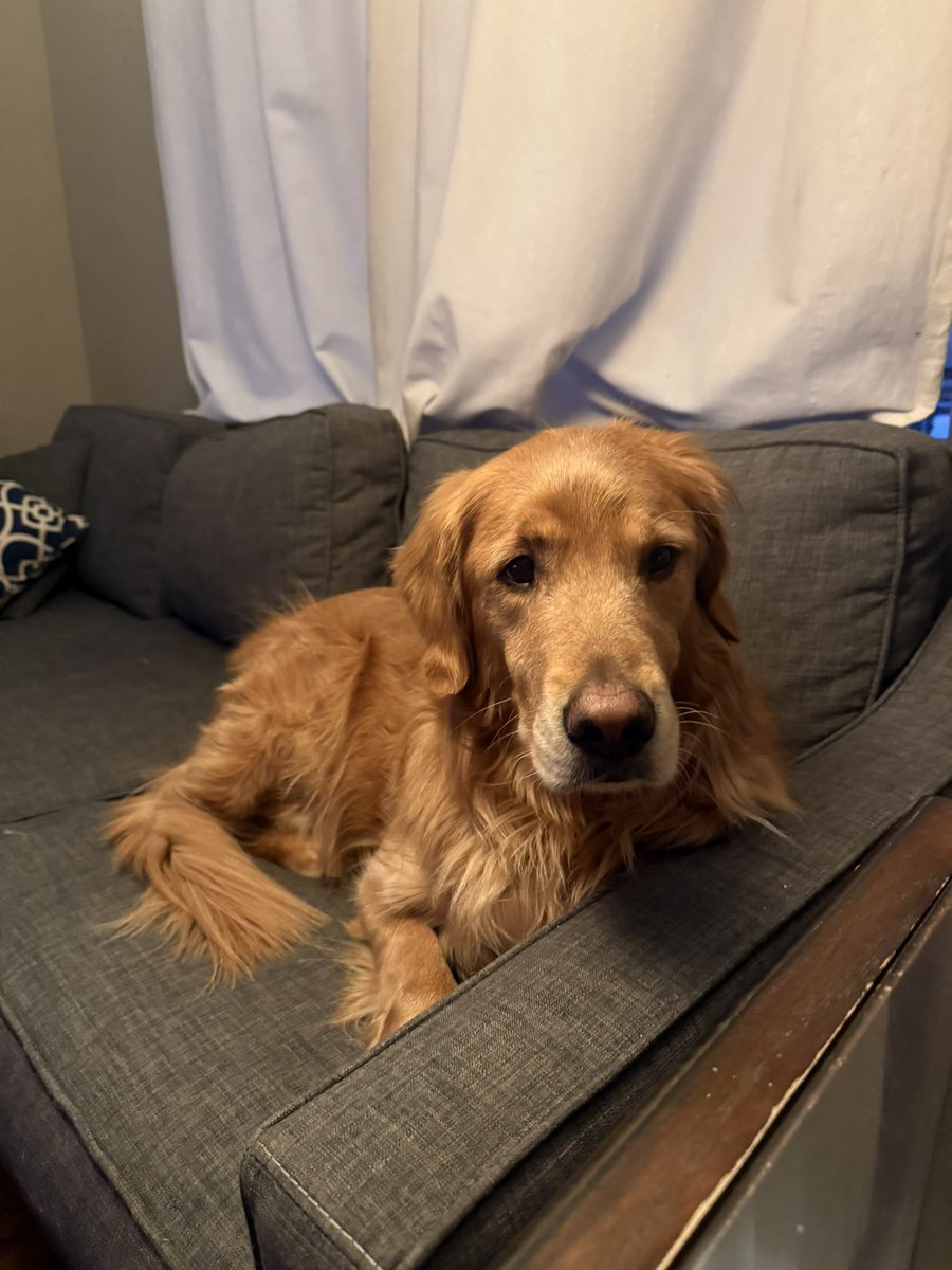 The Gregarious Introvert 🎩 tweet media