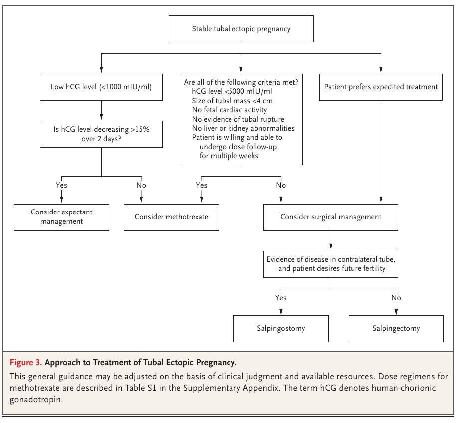 New England Journal of Medicine (NEJM) 2025: Embarazo ectópico
DOI: 10.1056/NEJMcp2402787
#MedEd #MedTwitter #MedX