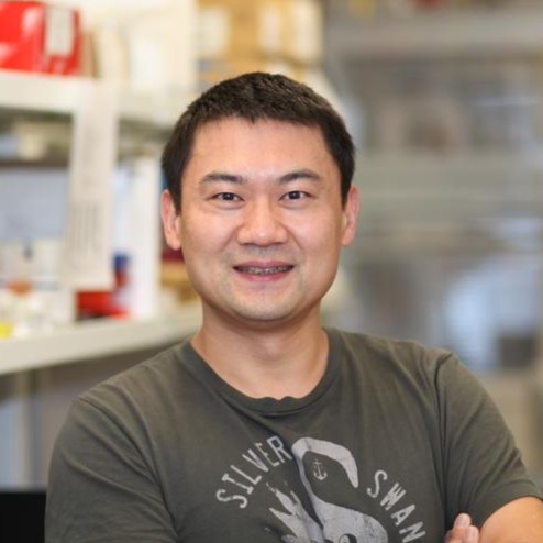 ESC & iPSC News (@esc_ipsc_news) on Twitter photo New this week in <a href="/NatureComms/">Nature Communications</a>! 🚨
Drs. <a href="/KaraQuaid/">Kara Quaid</a> and Ting Wang (<a href="/twang5/">Ting Wang</a>) created a comprehensive resource of high-quality genomic, epigenomic, and #transcriptomic data from #iPSC lines and three iPSC-derived cell types.
🕶️ Check it out: go.nature.com/41139Ek New this week in <a href="/NatureComms/">Nature Communications</a>! 🚨
Drs. <a href="/KaraQuaid/">Kara Quaid</a> and Ting Wang (<a href="/twang5/">Ting Wang</a>) created a comprehensive resource of high-quality genomic, epigenomic, and #transcriptomic data from #iPSC lines and three iPSC-derived cell types.
🕶️ Check it out: go.nature.com/41139Ek