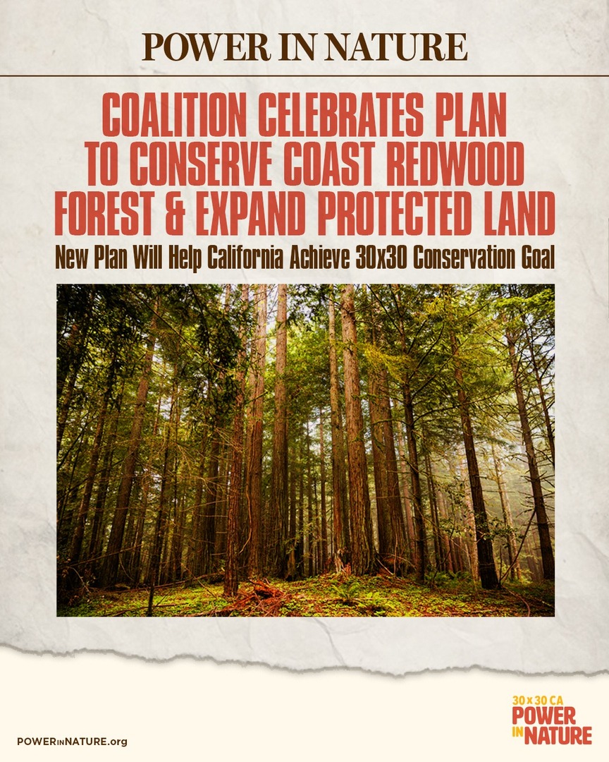 Power in Nature (@powerinnatureca) on Twitter photo We're celebrating a major step towards CA's 30x30 goal! <a href="/SonomaLandTrust/">Sonoma Land Trust</a> & @SavetheRedwoods plan to buy & conserve the 1517-acre Monte Rio Redwoods Expansion property. Together, we're working to protect lands & coastal waters for future generations
More at powerinnature.org/news We're celebrating a major step towards CA's 30x30 goal! <a href="/SonomaLandTrust/">Sonoma Land Trust</a> & @SavetheRedwoods plan to buy & conserve the 1517-acre Monte Rio Redwoods Expansion property. Together, we're working to protect lands & coastal waters for future generations
More at powerinnature.org/news