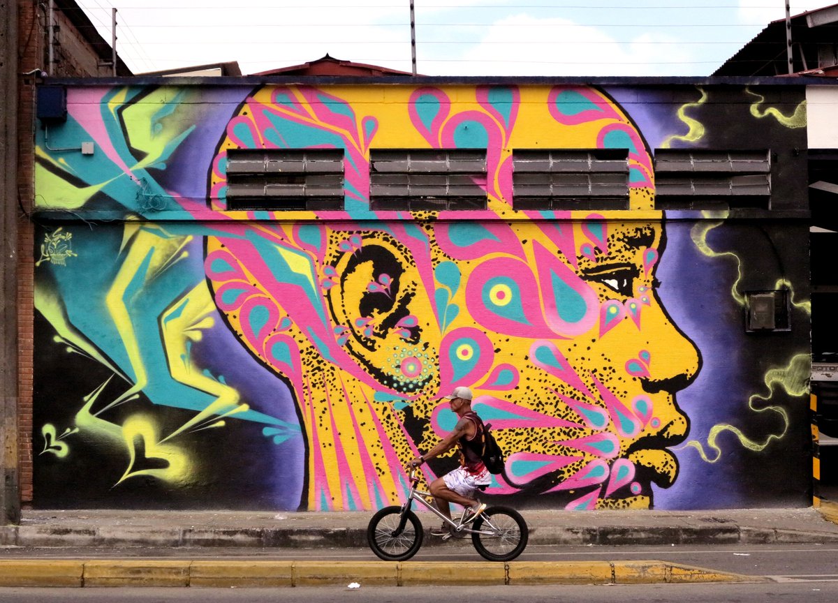 stinkfishstink's tweet image. Medellín// Feb. 2025//#Stinkfish