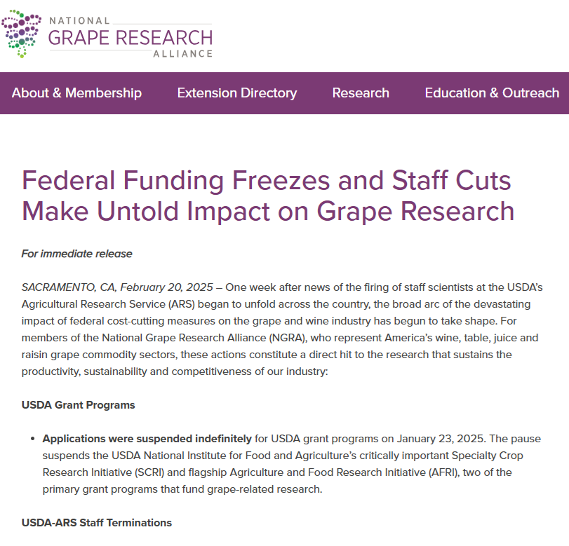 National Grape Research Alliance (@graperesearch) on Twitter photo As the impact of federal cost- and staff-cutting measures becomes clear, <a href="/GrapeResearch/">National Grape Research Alliance</a> members are deeply concerned about the loss of #graperesearch--and researchers, esp. at <a href="/USDA_ARS/">Agricultural Research Service</a>--that advance and sustain our industry. Join us in sounding the alarm. tinyurl.com/3htb35ac As the impact of federal cost- and staff-cutting measures becomes clear, <a href="/GrapeResearch/">National Grape Research Alliance</a> members are deeply concerned about the loss of #graperesearch--and researchers, esp. at <a href="/USDA_ARS/">Agricultural Research Service</a>--that advance and sustain our industry. Join us in sounding the alarm. tinyurl.com/3htb35ac