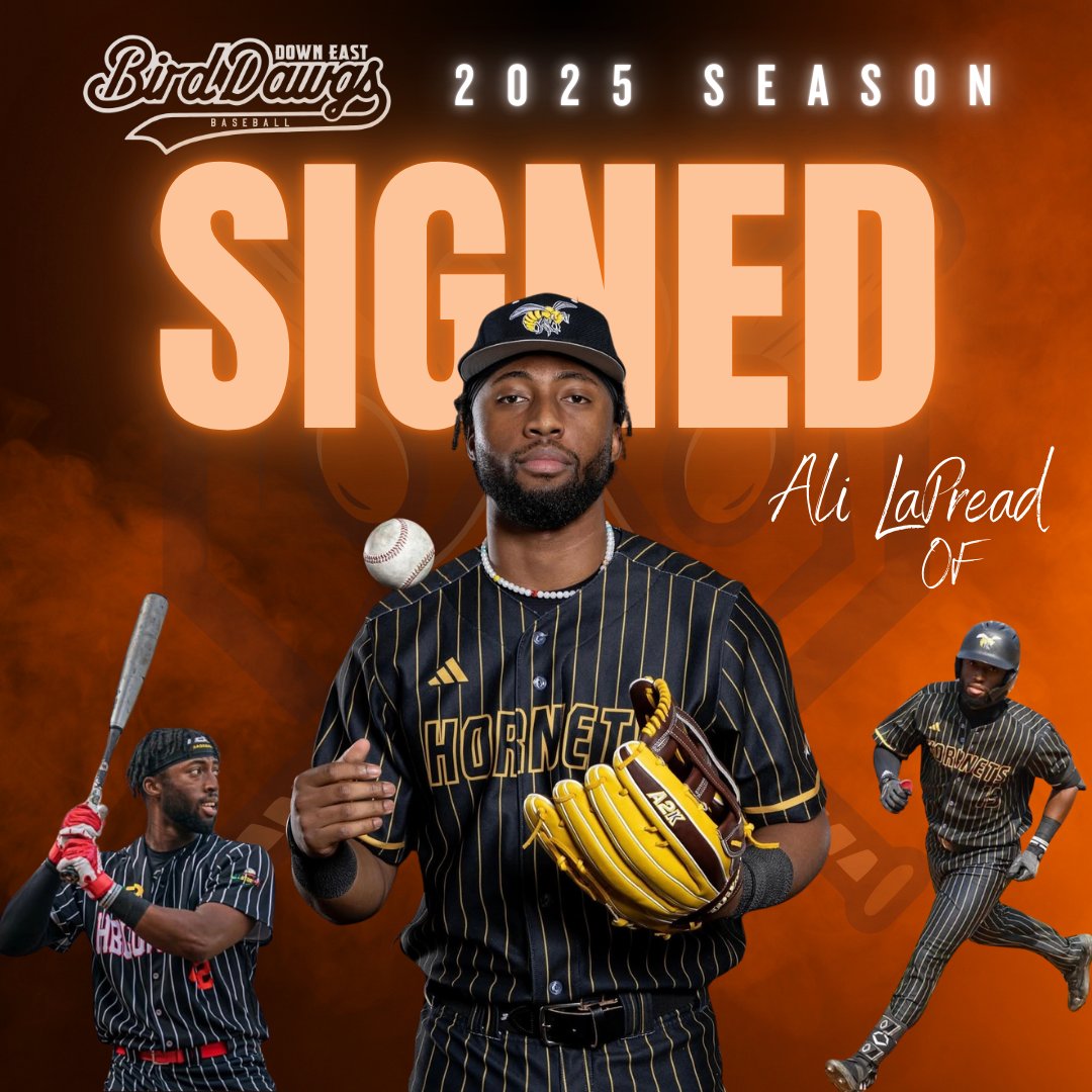 Down East Bird Dawgs tweet media