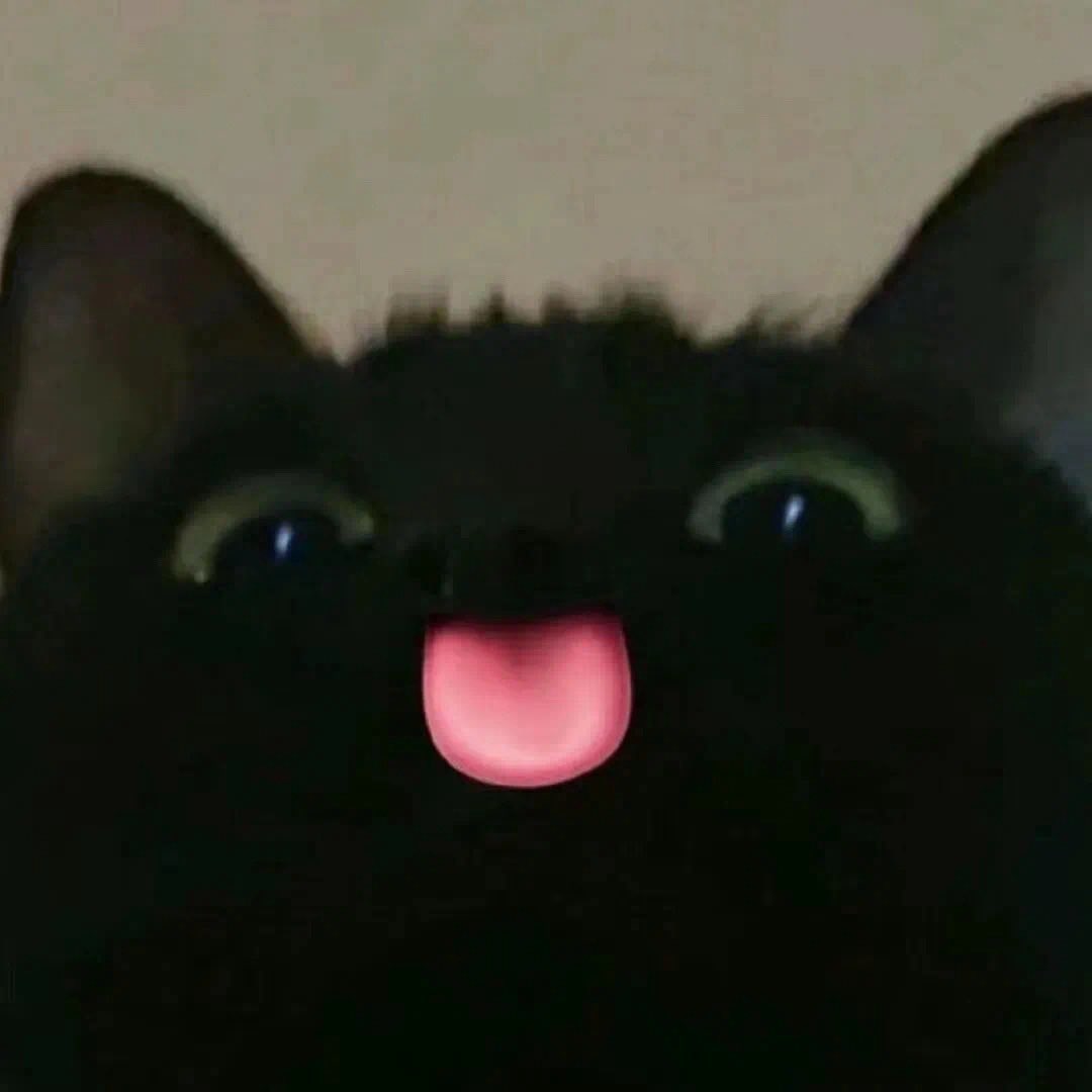 Black cats are not bad luck tweet media