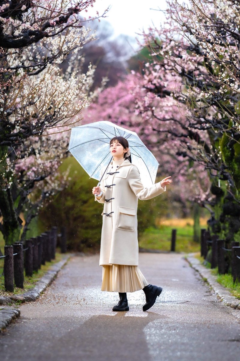 yuki____channel's tweet photo. もうすぐ梅の季節ですね🌺
去年は雨だったけどとても素敵に撮ってくださった一枚。 https://t.co/LoJBmp0KKp