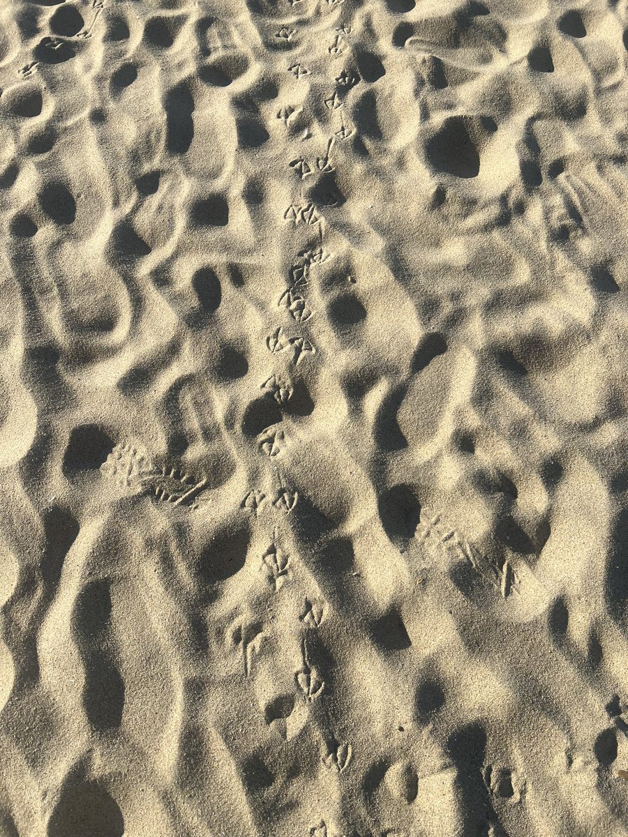 오늘의 러닝❤️
#부산 #부산여행 #해운대
#러닝