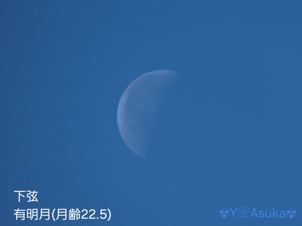 yumeasutw's tweet photo. #青空 に朝日が目映い
キーンと冷えた快晴の朝です☀️✨
南西の空に残る淡い
🌗 #有明月 (月齢22.5)
2枚目に月がいます。
#月 #moon #下弦 #有明月
#a2025 #a0221 #a202502 https://t.co/nramw5fYxo