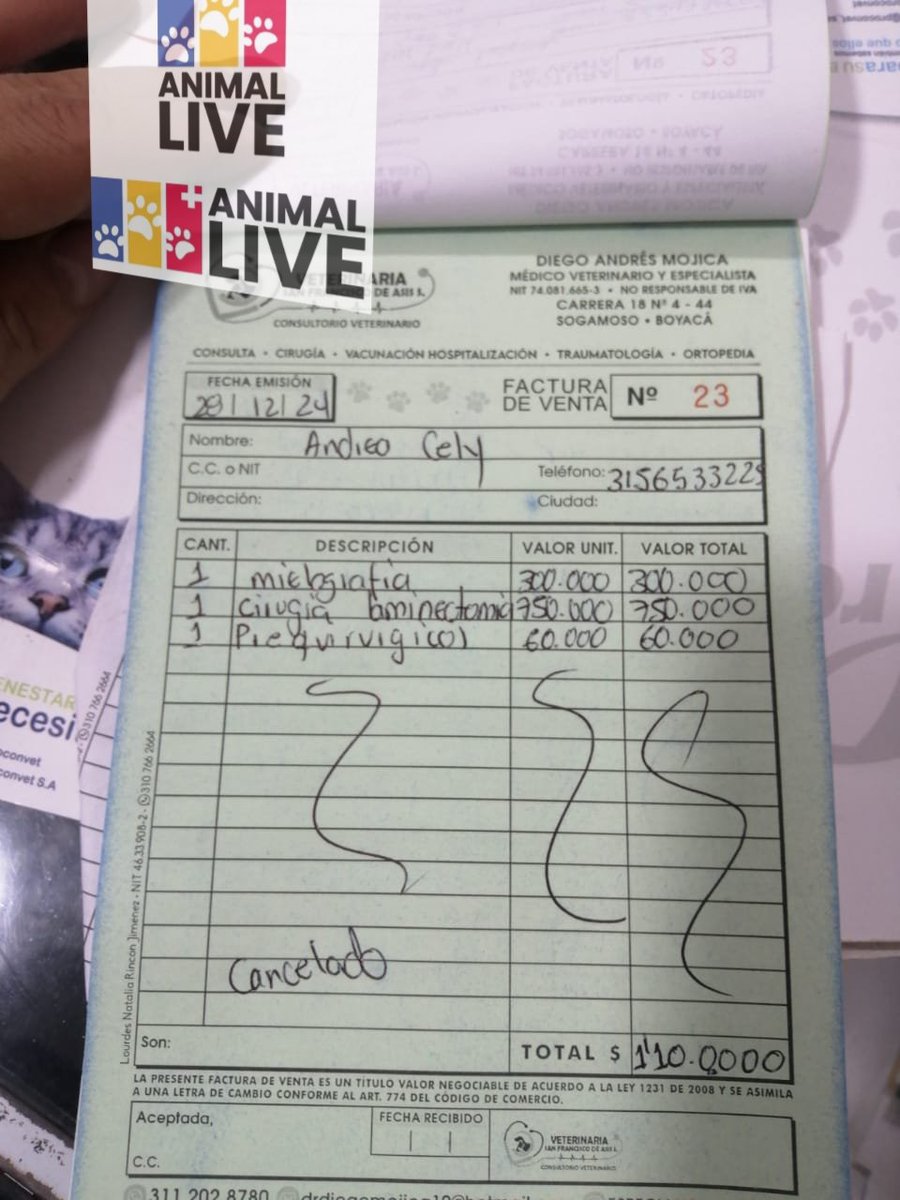 Andreccelylive's tweet photo. 🆘️ No les habíamos contado pero #Pilow ya lleva 2 cirugías, abonamos a la primera y examenes 1.100.000 gracias a uds y las ventas. Para procedimientos pendientes necesitamos 630 mil para lo que acudimos a su buen ❤️ tratamos de que no fuera necesario pero 😳316 1454789 wap https://t.co/JnX42Nco1r