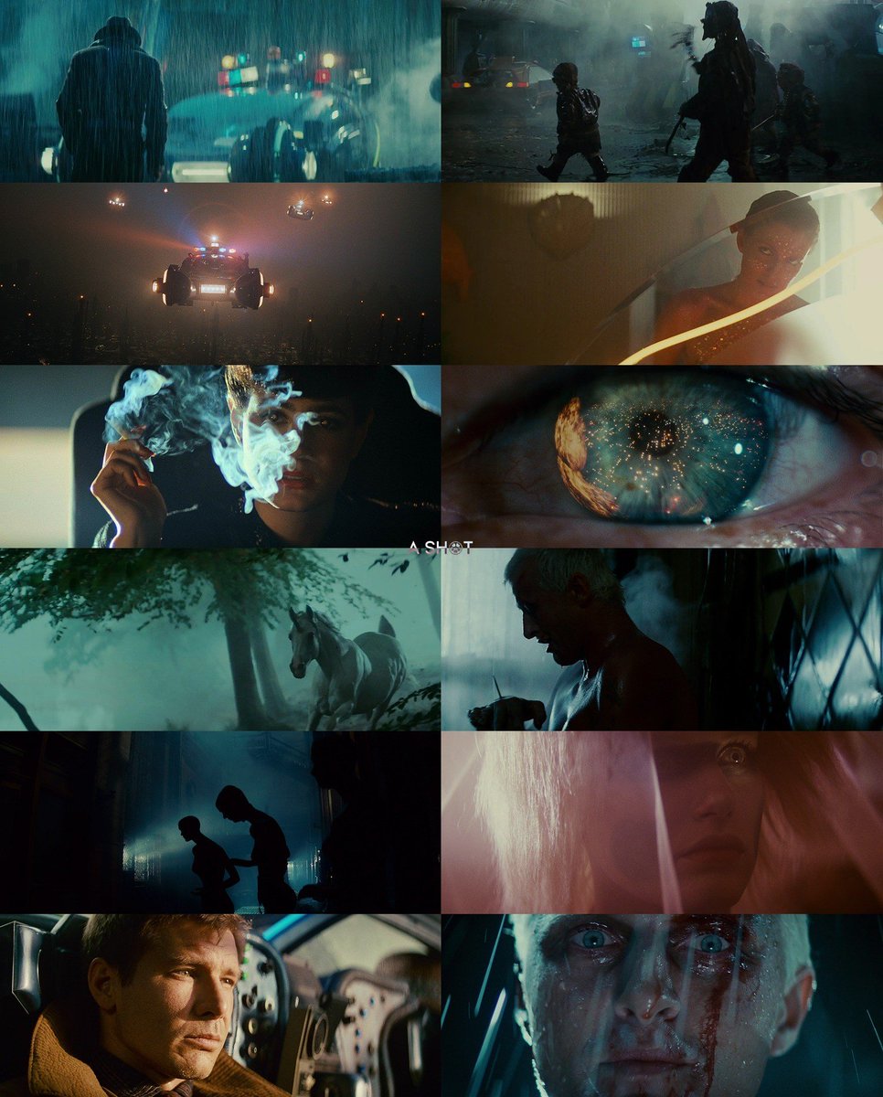 ashotmagazine's tweet photo. “All those moments will be lost in time.. like tears in rain.”

Blade Runner (1982) directed by Ridley Scott, with the stunning cinematography by Jordan Cronenweth. https://t.co/zpe7SB7KZn