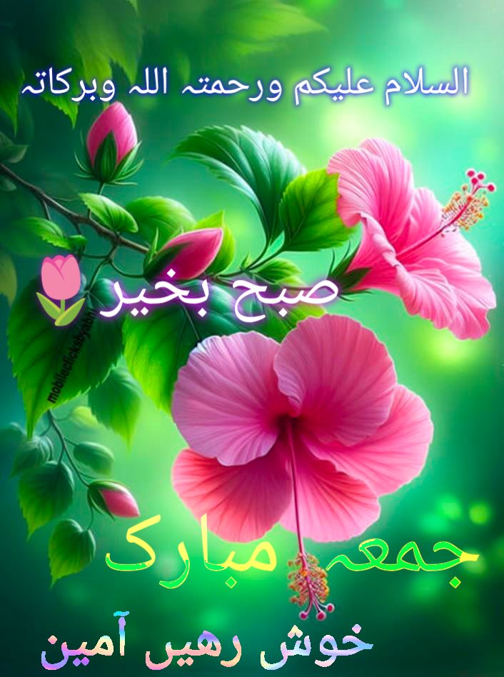 السلام علیکم ورحمتہ اللہ
♥️صبح بخیر🌷جمعہ مبارک♥️
اے پروردگار!ہرلمحہ ہماری سوچ وعمل کی حفاظت فرما
اےخالقِ دوجہاں!ہمیں آپس کی بدگمانیوں،نفرتوں،عیب گوئیوں اورمنافقتوں سےدوررکھ ہمیں اپنی پناہ میں رکھ ہم سبکےتمام غموں کوسکون میں بدل دےتمام معاملات میں آسانیاں پیدافرما
آمین
#X_promo