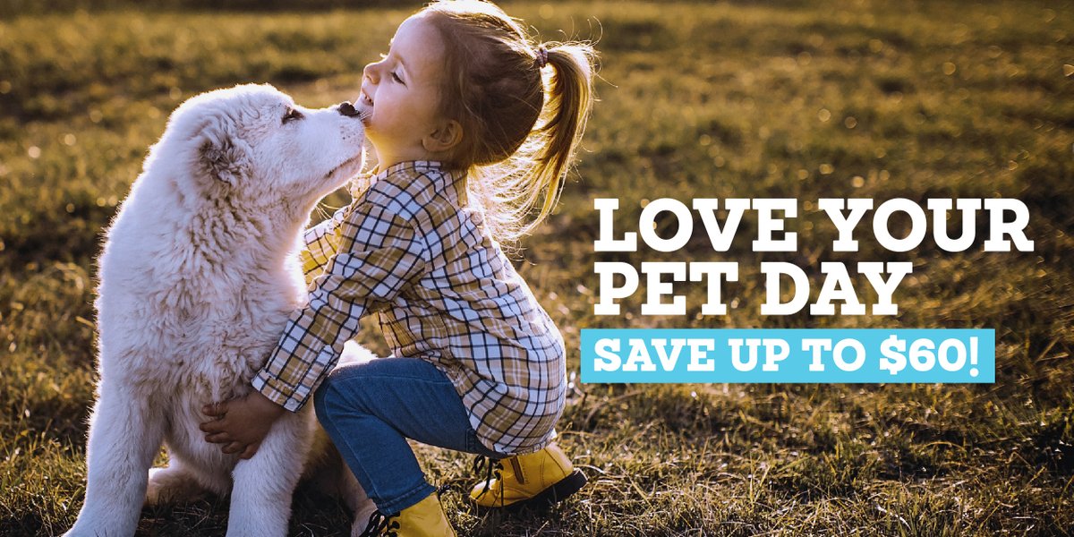 Receive $60 off in honor of our furry friends only on our social media! Save $20 per course (up to three courses) on our professional development courses for educators using Promo Code: PetDay60 at ce.fresno.edu/educator-cours…

#continuingeducation #teachereducation