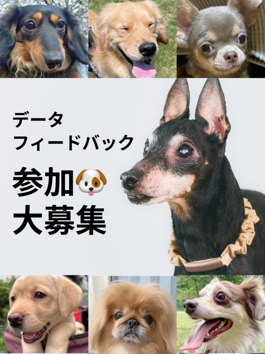 📢 データフィードバックにご協力いただけるワンちゃん＆飼い主さん大募集！

開発に先駆け、専用のデバイス付き首輪を装着していただき、アプリで表示される行動の正誤確認などを行っていただく「データフィードバック」にご協力いただけるワンちゃんと飼い主さんを募集中です🐶✨