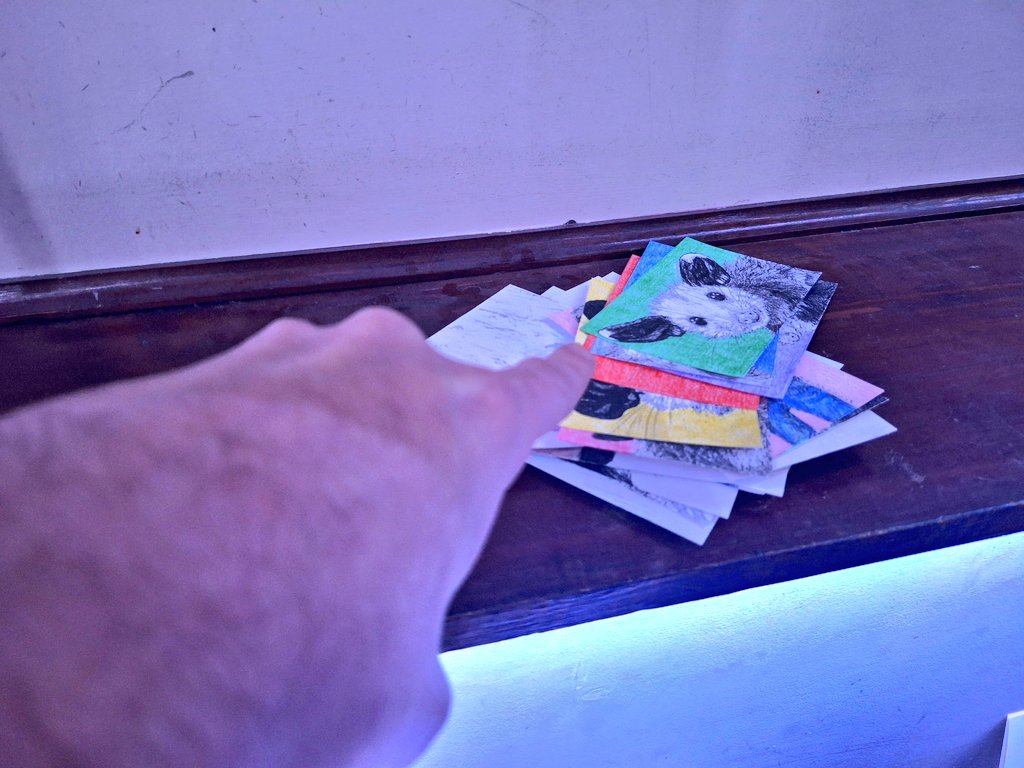 KC Opossum tweet media