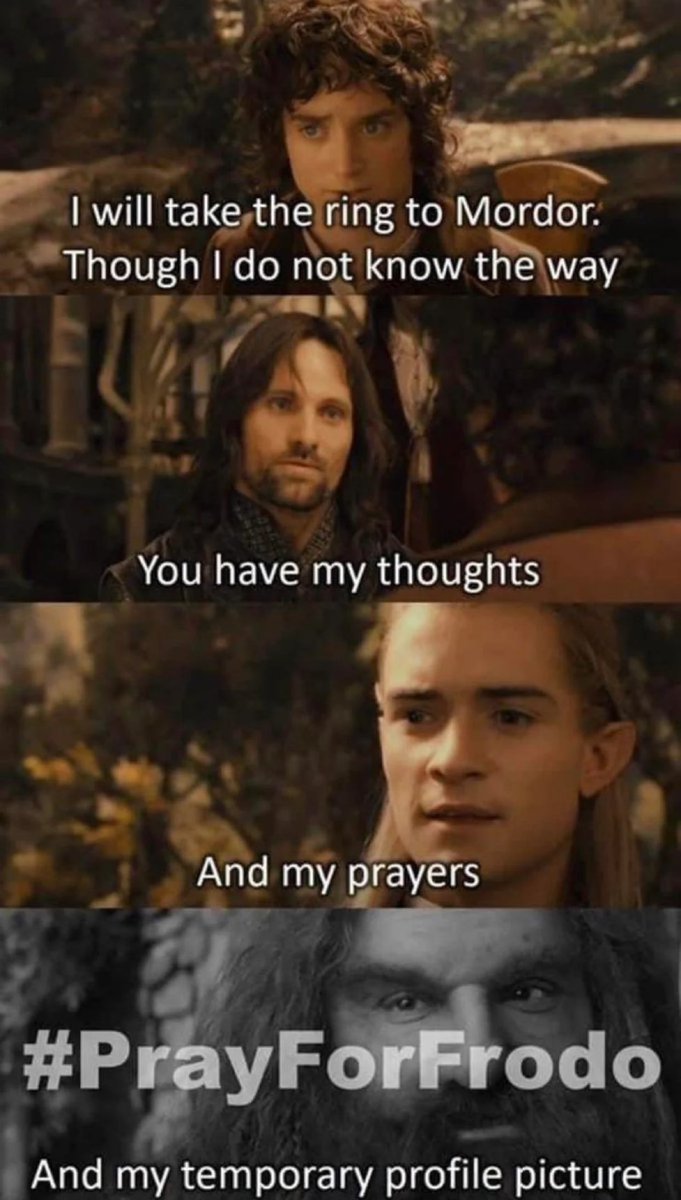 Lord of the Rings Memes (@thelotrmemes) on Twitter photo 