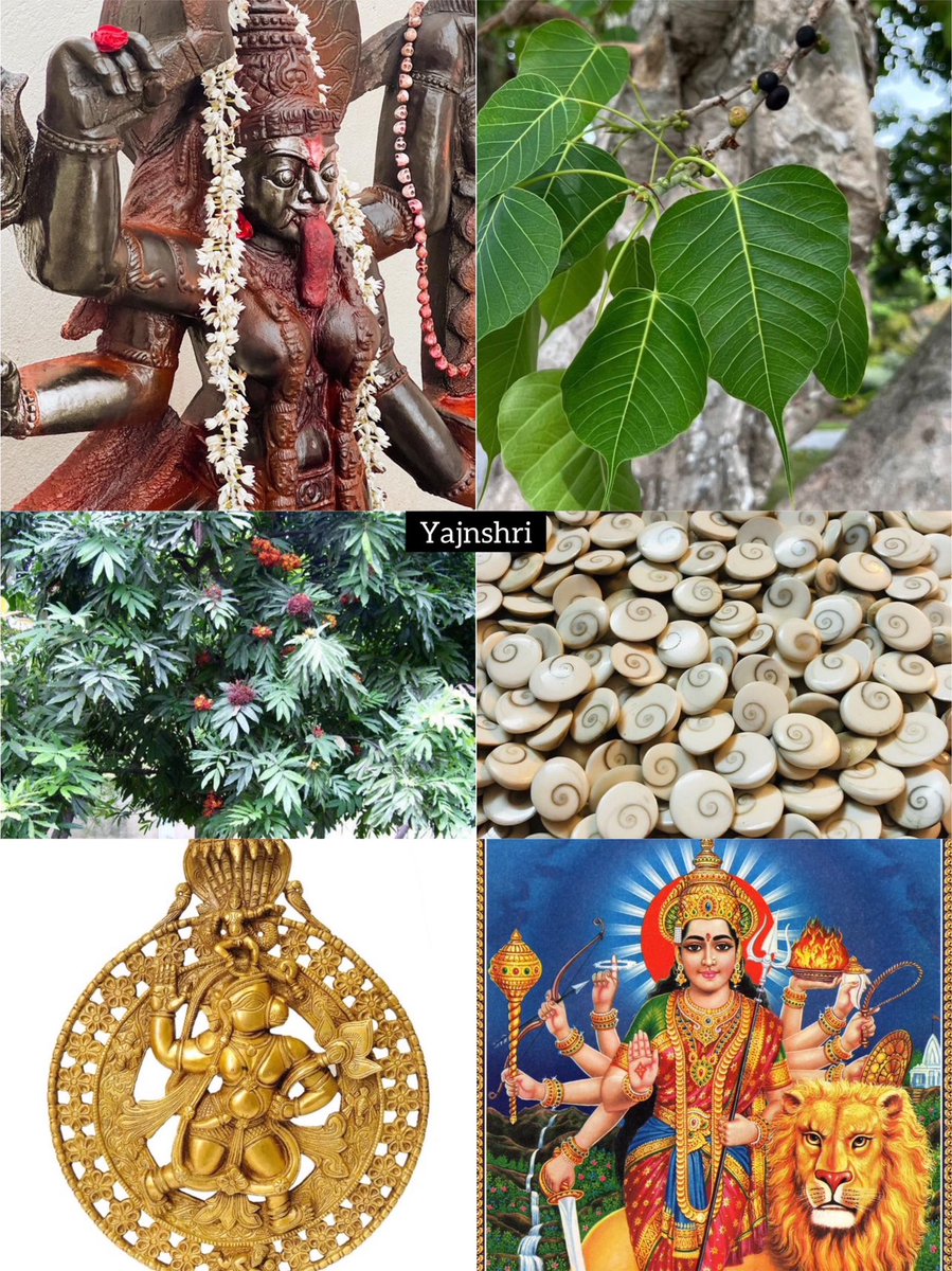 yajnshri's tweet photo. धन समृद्धि के अचूक टोटके

यदि आप व्यवसायी हैं, पुराने उद्योग के चलते नया उद्योग आरम्भ कर रहे है एवं आपका कार्य नहीं चल रहा तो आपको ये #thread अवश्य पढ़ना चाहिए https://t.co/yxj0Oc0okI