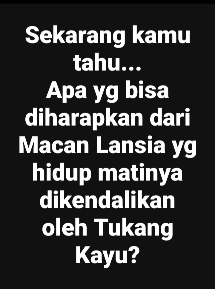 Beby Sweet tweet media
