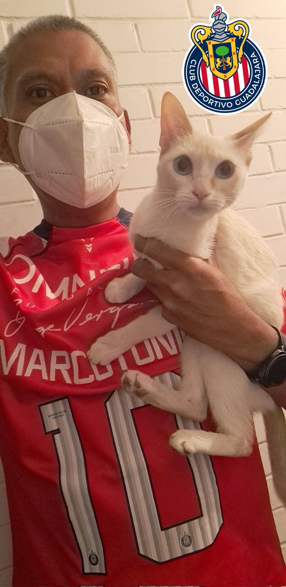 MARCOTONIO10's tweet image. Que otra vez es el #DiaDelGato !
#Pandy