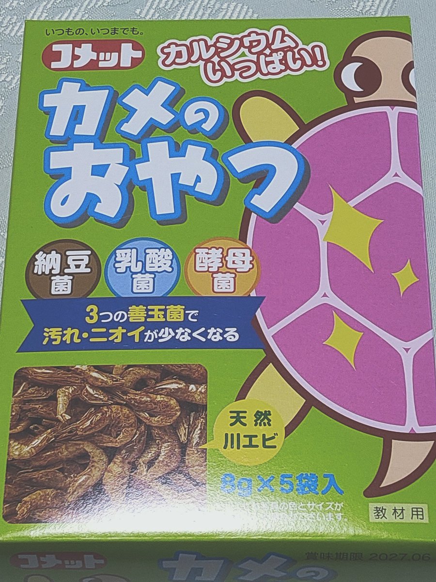 dojorin's tweet photo. ウパちゃん飼育メモ 2025/2
見た感じ 元気そうです😊

「体調不良の経過」

・苺大福 
お腹がゆるくて緑の💩も…
腸内の細菌感染かと思い
水換えと餌切りで様子見

冷凍赤虫・生餌・乾燥川エビを与え
ようやくマシな💩が出て一安心

・豆大福
比較すると、かなり便秘がち😠
※苺ちゃんと同じ餌に変えた https://t.co/MradXKHlBI