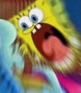 Sportsnet tweet media