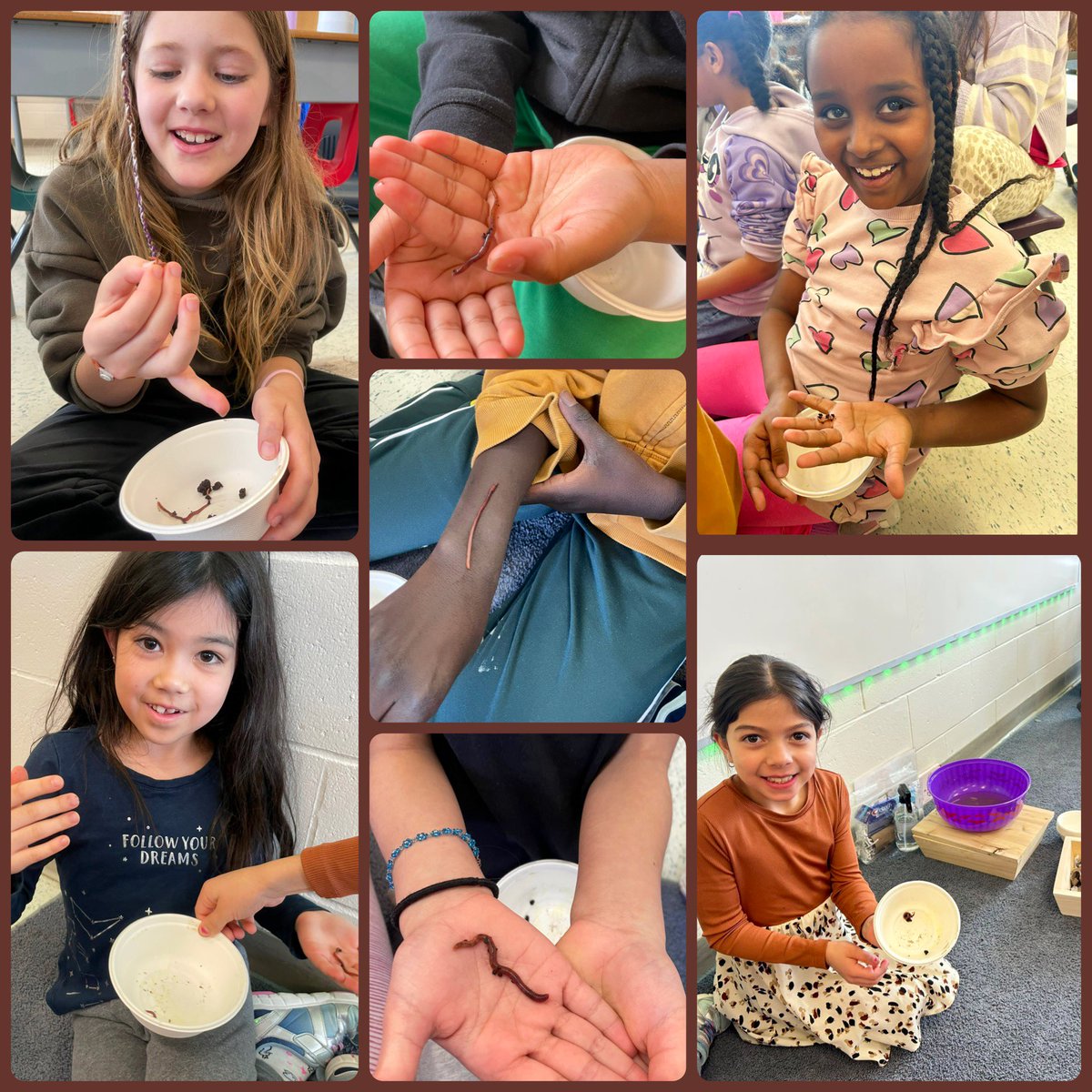 MsBirdOCSB's tweet photo. Today, our Grade 3’s had an amazing Box of Life presentation! 🪱 They got hands-on with vermicomposting, learning how to care for composting worms, turn food scraps into nutrient rich soil, and reduce waste to help our planet. 🌎♻️ #BoxOfLife @ThomasMoreOCSB https://t.co/dCasYrXTlv