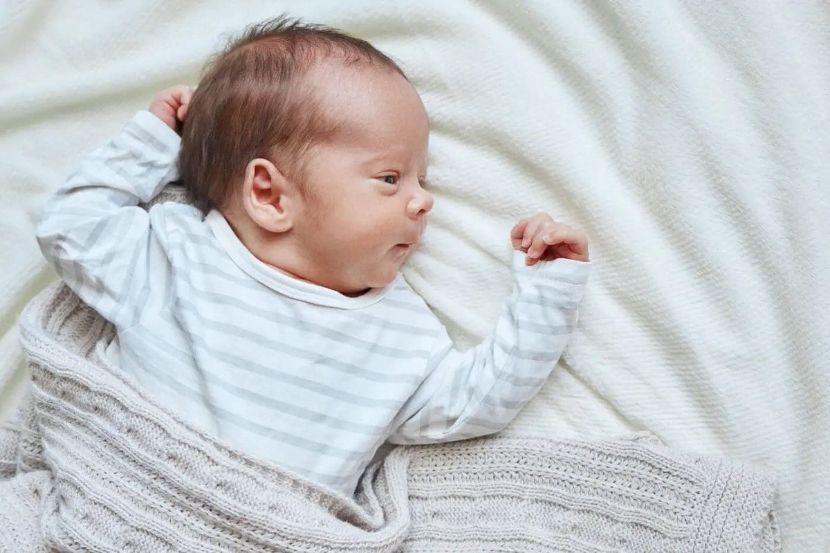 COO Josef Lipp emphasized that collaboration plays a vital role in Live Action’s success. “We know what we’re good at, and we know that other organizations have strengths that complement ours,” Josef explained.

standforlife.com/collaboration-…

<a href="/LiveAction/">Live Action</a> 
#imageofGod #imagoDei