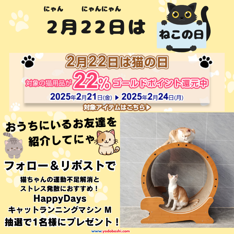 Yodobashi_X's tweet photo. ／
2月22日は
にゃん にゃにゃん🐱「#猫の日」
＼

猫の日特別企画❗️
2月24日まで、対象の猫用品がゴールドポイント2⃣2⃣％還元とお得に⤴️

➡https://t.co/WuEQTQDJ3M

「HappyDays キャットランニングマシンM」を抽選で1名様に🎁

👉フォロー＆リポスト
おうちにいるお友達を紹介してにゃ🐱

2/24まで