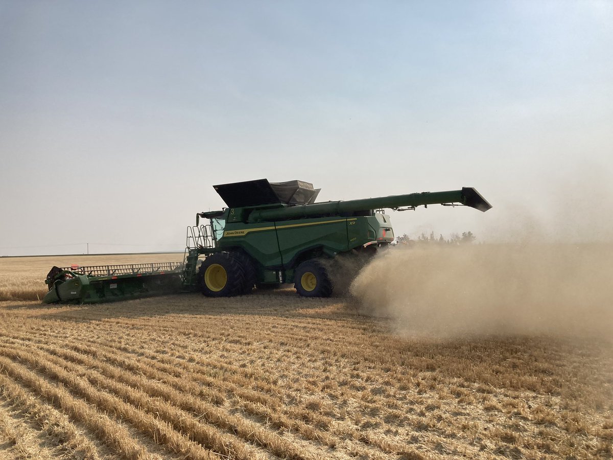 Sheri Strydhorst (@sheristrydhorst) on Twitter photo Attention barley growers, <a href="/canadianbarley/">CMBTC&MaltAcademy</a> is looking for samples of Brahma, Oreana, Altorado, and Claymore please DM if you have a sample and I can connect you to the team to get more info. Attention barley growers, <a href="/canadianbarley/">CMBTC&MaltAcademy</a> is looking for samples of Brahma, Oreana, Altorado, and Claymore please DM if you have a sample and I can connect you to the team to get more info.
