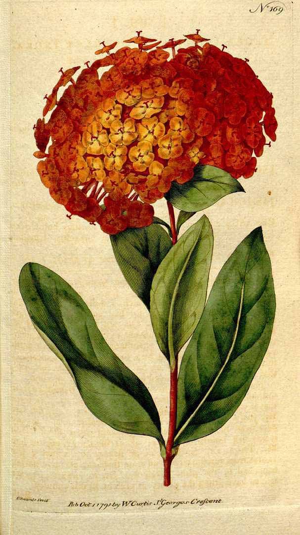 fSTdustin_'s tweet image. giorno🌺