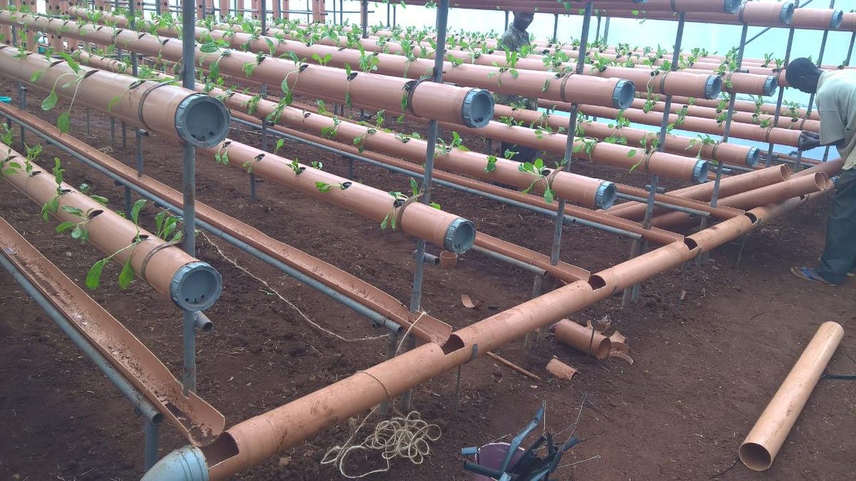 Martin Andati tweet media