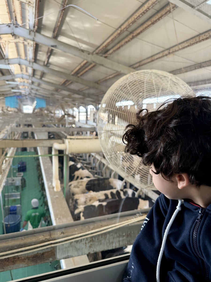 Dwight School Dubai tweet media