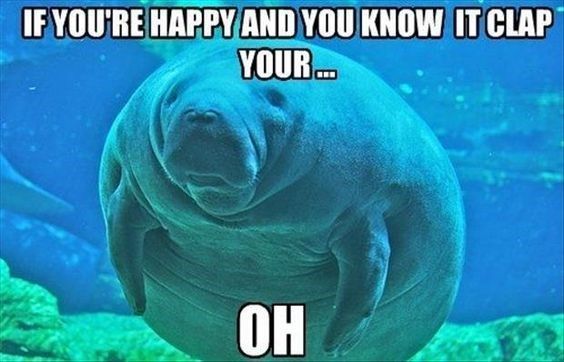 DJ Super WiLL tweet media