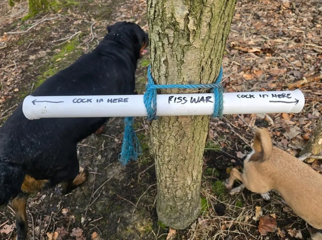 Robute Guilliman tweet media