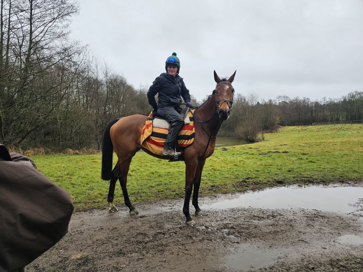 Wishing everyone at <a href="/ShovelstrodeRH/">Shovelstrode Racing</a> all the very best with Gold Clermont at <a href="/ExeterRaces/">Exeter Racecourse</a> today. Ran a cracker at Bangor, is well handicapped and stays longer than the mother in law! Good luck.