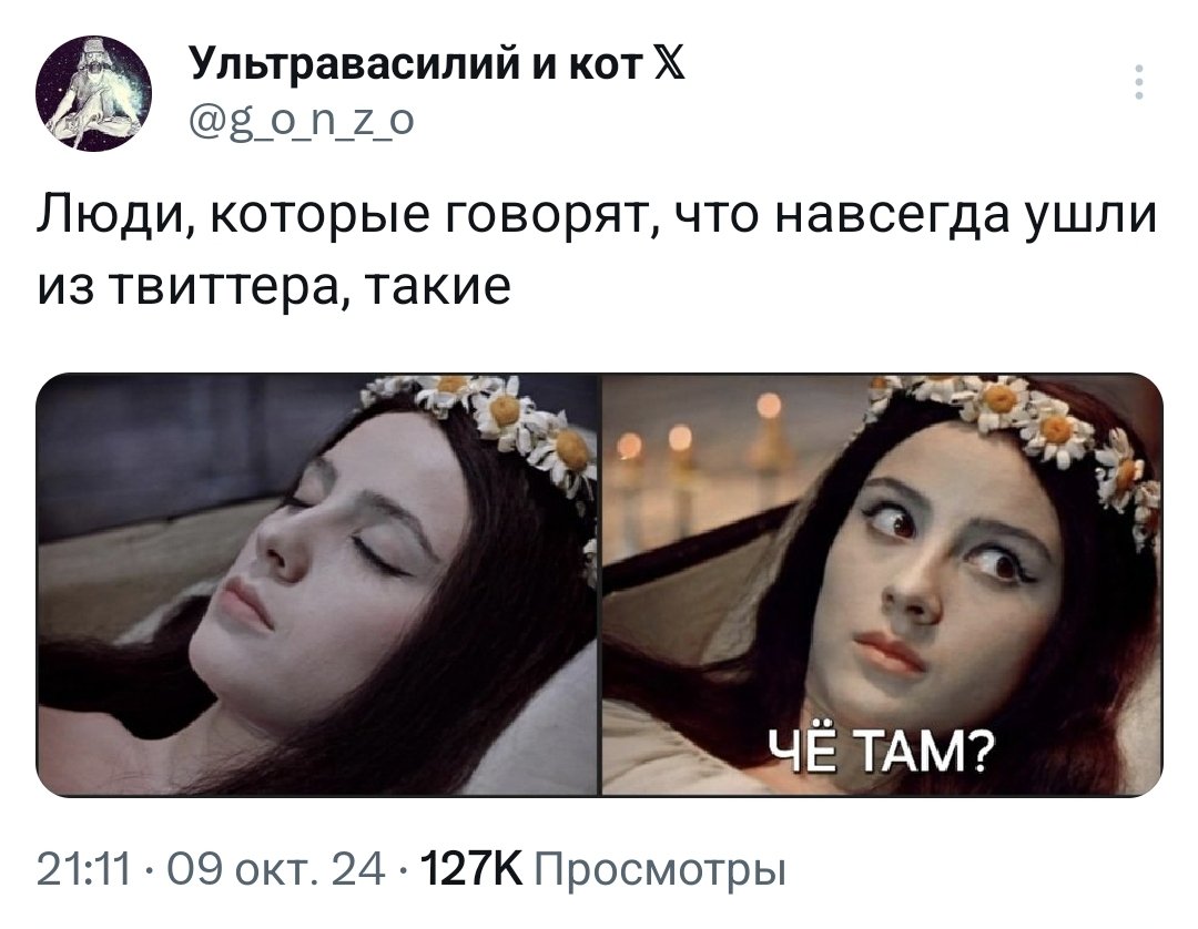 Ультравасилий и кот 𝕏 (@g_o_n_z_o) on Twitter photo 