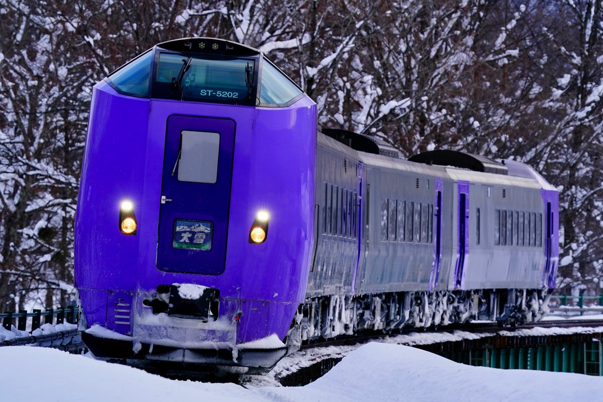 Olaf06049974's tweet photo. 2025.2.19 特急大雪でラベンダー編成が代走となる最後の設定日　日帰り弾丸にて出撃した。晴れるとHMが判りづらくなるので、曇りが確定な旭川周辺で。283系、261系ともに記録ができ、HMもきれいに描出できた。でもやはりHMが浮かび上がる様子もと思いさらに移動、最初の1枚となった。＃特急大雪 https://t.co/oCD1MmNHLh